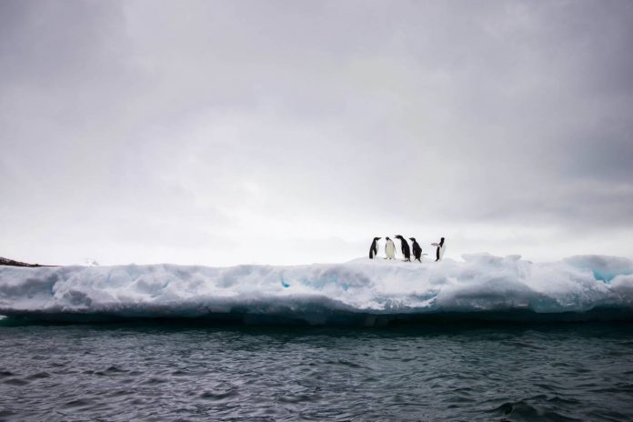 La-superficie-de-hielo-marino-antartico-alcanza-un-nuevo-minimo-historico